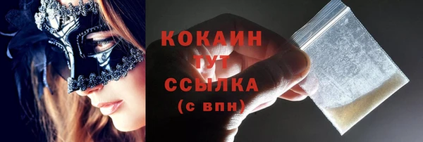стаф Алзамай