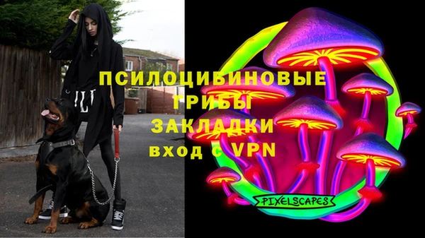 стаф Алзамай