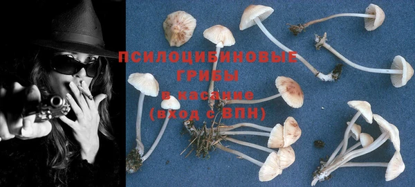 марки nbome Алексеевка