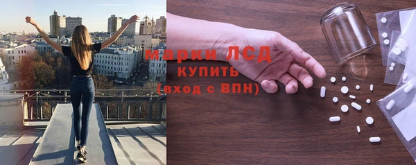 стаф Алзамай