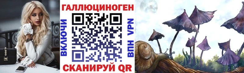 Галлюциногенные грибы GOLDEN TEACHER  Заозёрный 